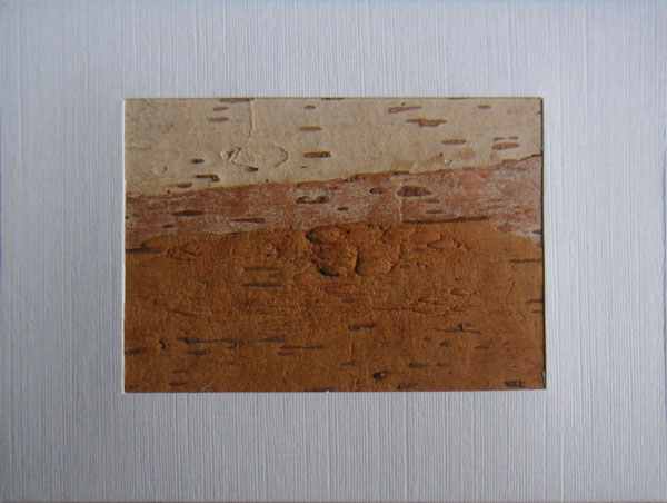 Gallery Image 73