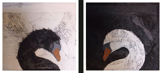 Swans
